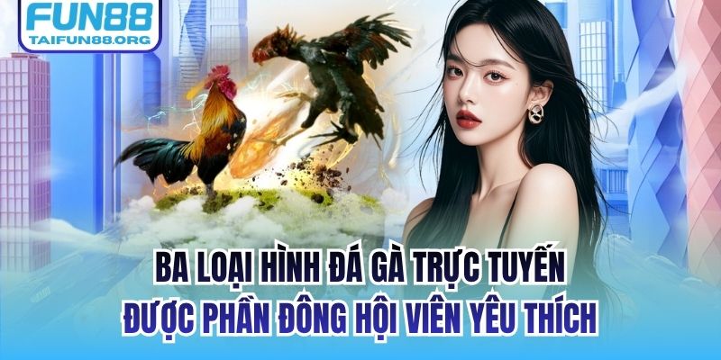 Ba loại hình đá gà trực tuyến được phần đông hội viên yêu thích