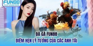 Đá Gà FUN88 | Điểm Hẹn Lý Tưởng Của Các Anh Tài