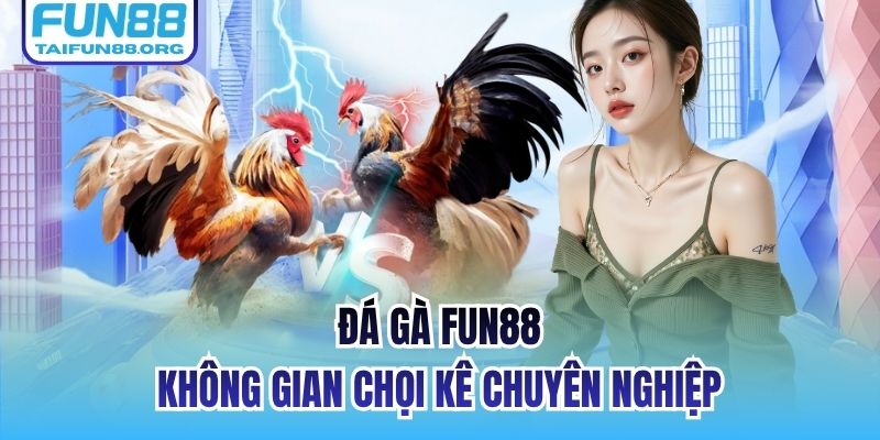 Đá Gà FUN88 - Không gian chọi kê chuyên nghiệp